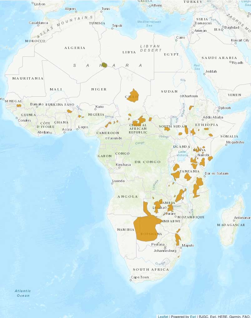 African wild dog distribution map